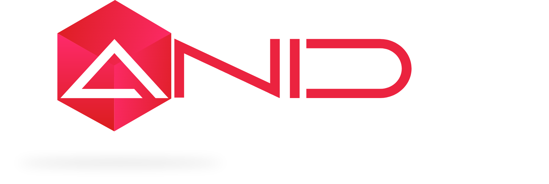 ANID INFOSOFT